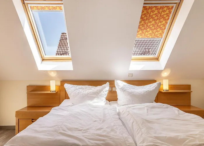 50104 Sonnenwind 4 卡罗利嫩西尔