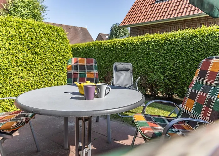 50104 Sonnenwind 4 * 卡罗利嫩西尔